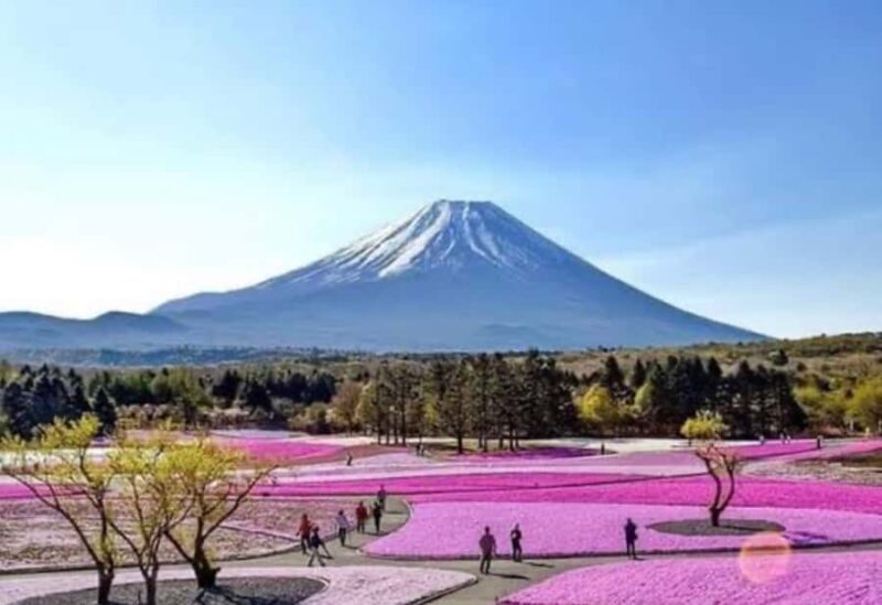 Tokyo: Mount Fuji and Hakone Private Customized Tour Guide - Introduction