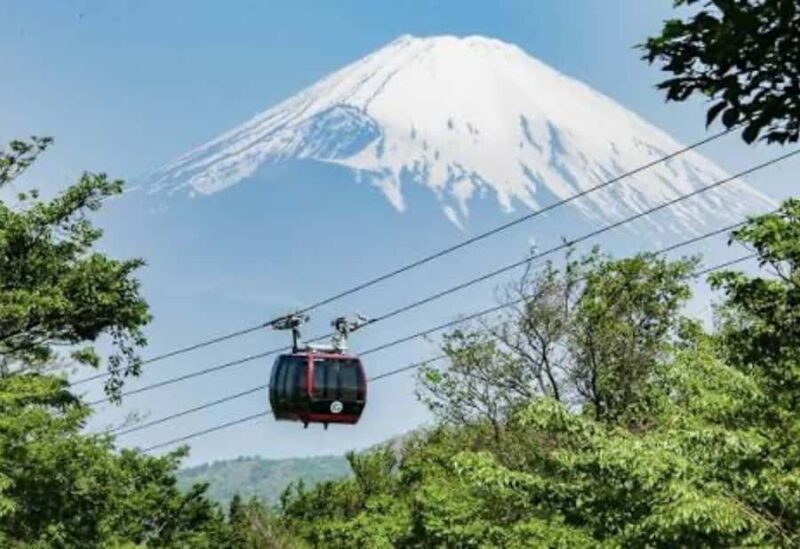 Tokyo: Mount Fuji and Hakone Private Customized Tour Guide - Good To Know