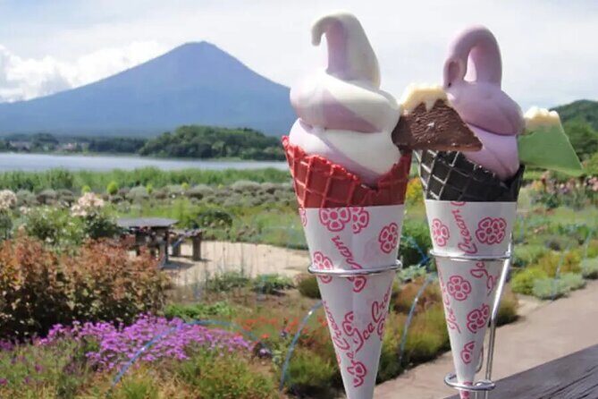 Tokyo Mount Fuji and Hakone Private Day Tour - The Itinerary Breakdown