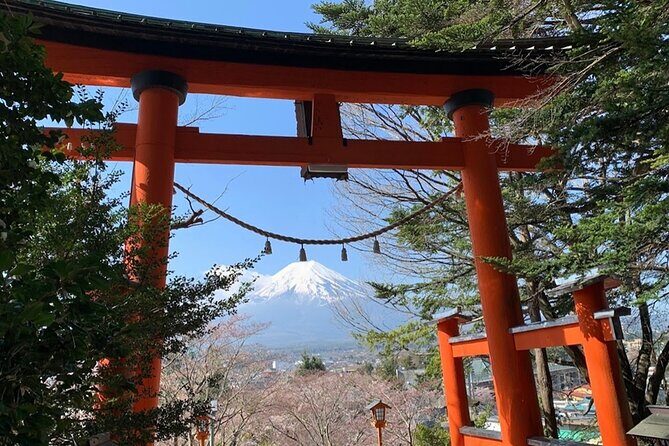 Tokyo Mount Fuji and Hakone Private Day Tour - FAQ