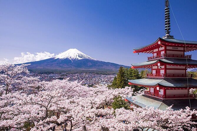 Tokyo Mount Fuji and Hakone Private Day Tour - Good To Know