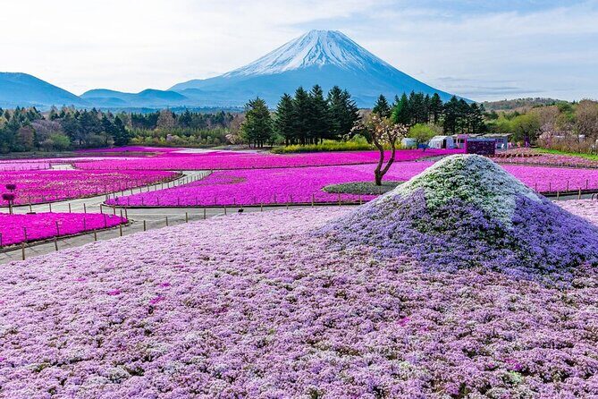 Tokyo Mount Fuji and Hakone Private Day Tour - FAQs about the Tokyo Mount Fuji and Hakone Private Day Tour