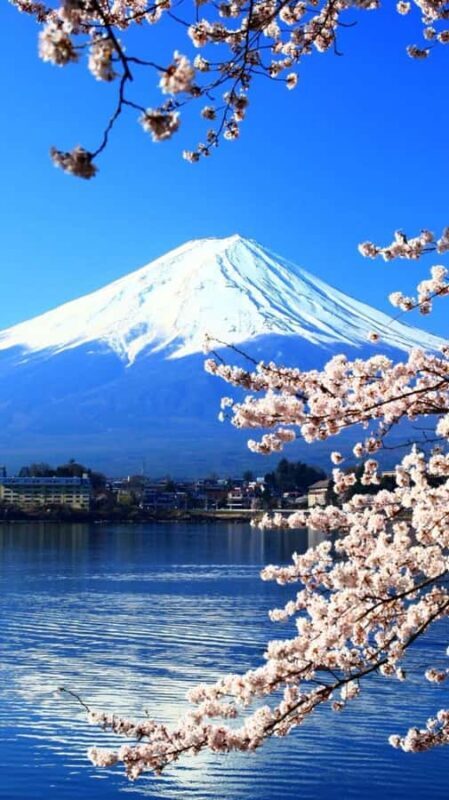 Tokyo: Mount Fuji and Hakone Private Day Trip with driver - Good To Know