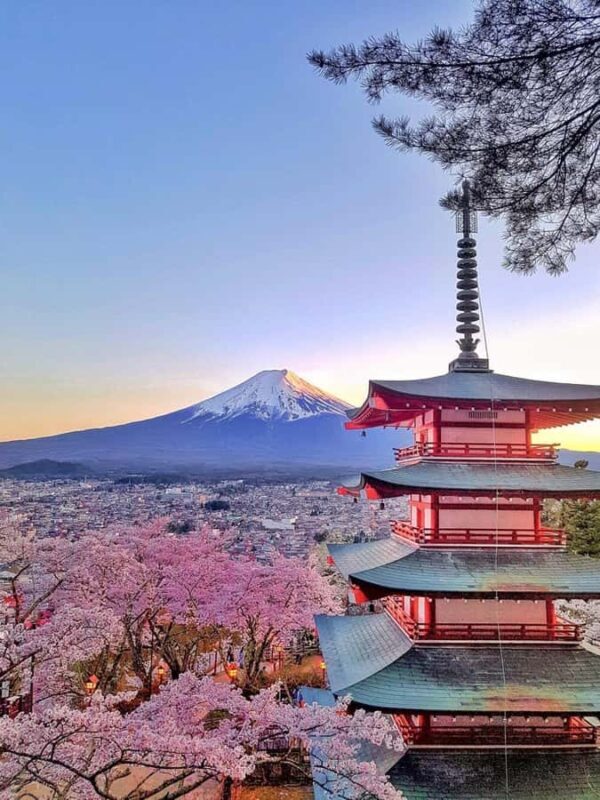Tokyo: Mount Fuji and Hakone Private Day Trip with driver - What to Expect and Practical Tips