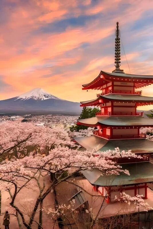 Tokyo: Mount Fuji and Hakone Private Day Trip with driver - FAQs