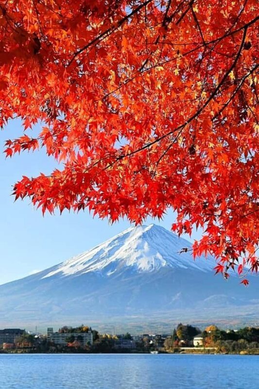 Tokyo: Mount Fuji and Hakone Private Day Trip with driver - FAQs