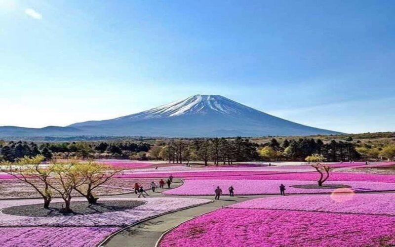 Tokyo: Mount Fuji and Hakone Private Sightseeing Day Tour - 1. Fuji-Q Highland