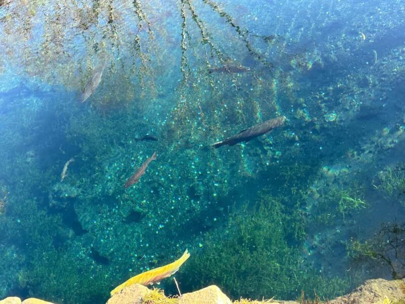 Tokyo: Mount Fuji and Hakone Private Sightseeing Day Tour - 5. Mt. Kachi Kachi Ropeway