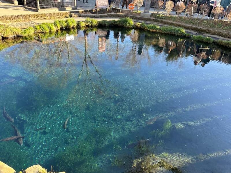 Tokyo: Mount Fuji and Hakone Private Sightseeing Day Tour - 7. Mount Fuji Viewing