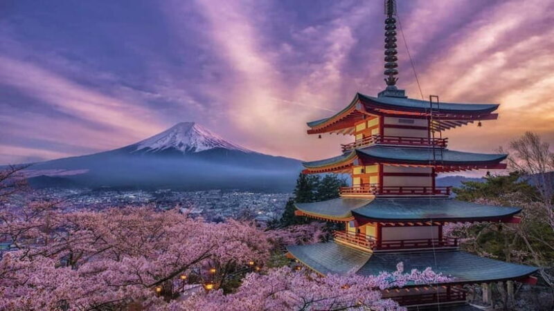Tokyo: Mount Fuji and Hakone Private Sightseeing Day Tour - Good To Know  