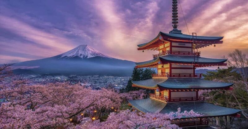 Tokyo: Mount Fuji and Hakone Private Sightseeing Day Tour - Transportation & Guide Experience