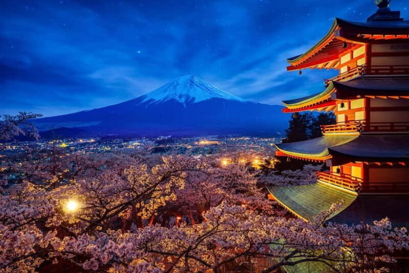 Tokyo: Mount Fuji and Hakone Private Sightseeing Day Tour - FAQ