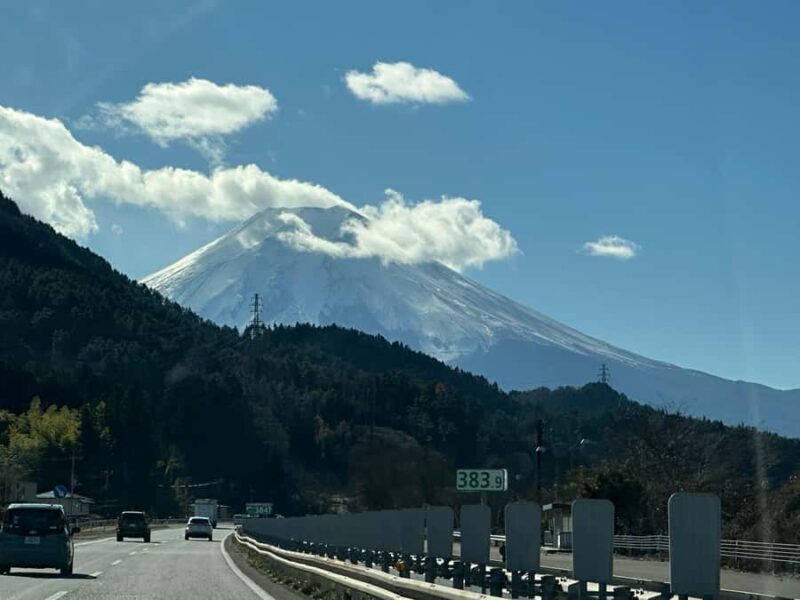 Tokyo: Mount Fuji and Hakone Private Sightseeing Day Tour - Good To Know
