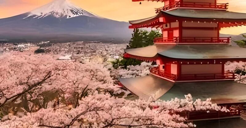 Tokyo: Mount Fuji and Hakone private sightseeing tour - Good To Know