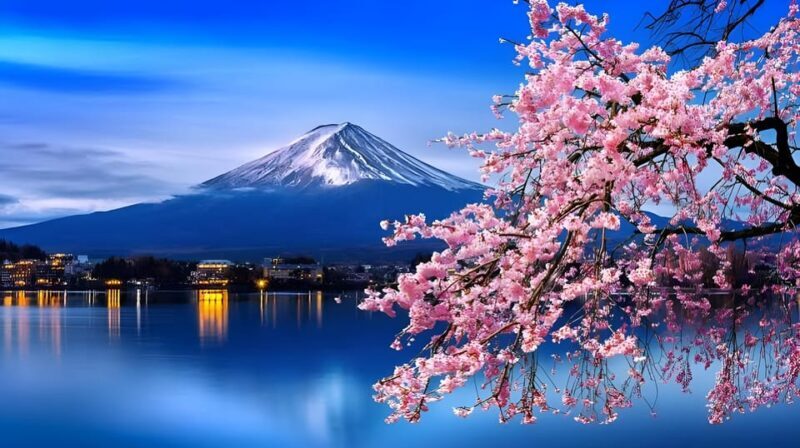Tokyo: Mount Fuji and Hakone private sightseeing tour - Who Should Consider This Tour?