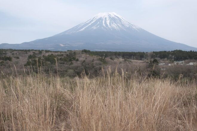 TOKYO: Mount FUJI and KAWAGUCHI Lake - Participant Restrictions