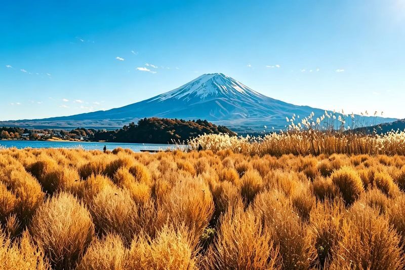 Tokyo Mount Fuji and Lake Kawaguchiko One-Day Tour (Driver-guide service) - Traffic and weather shape the day