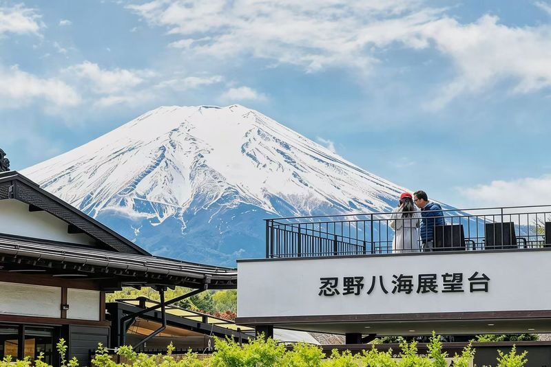 Tokyo Mount Fuji and Lake Kawaguchiko One-Day Tour (Driver-guide service) - What the price buys you