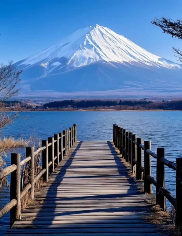 Tokyo: Mount Fuji and Lake Yamanaka Day Trip with Pickup - Exploring the Itinerary in Detail