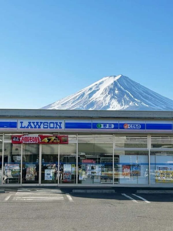 Tokyo: Mount Fuji and Lake Yamanaka Day Trip with Pickup - Final Thoughts