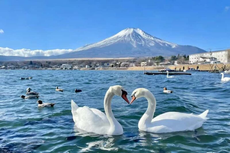 Tokyo: Mount Fuji and Lake Yamanaka Day Trip with Pickup - The Sum Up