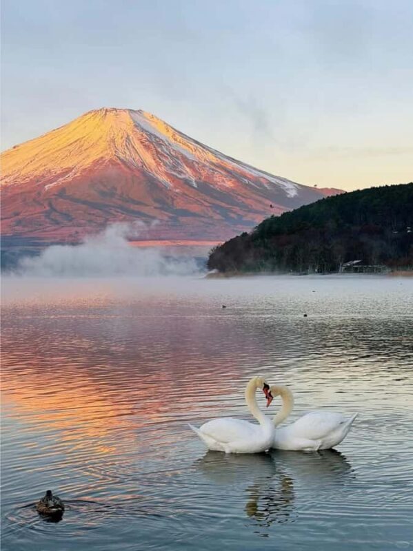 Tokyo: Mount Fuji and Lake Yamanaka Day Trip with Pickup - FAQs