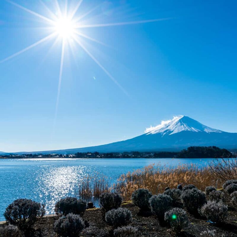 Tokyo: Mount Fuji, Chureito Pagoda Private Tour Customizable - What Travelers Say