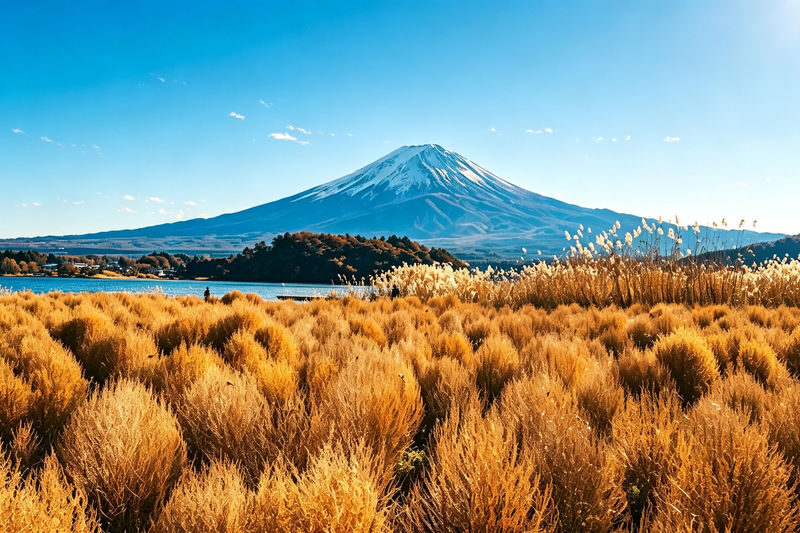 Tokyo Mount Fuji Customizable Day Tour - Six viewpoints, with room for photographs