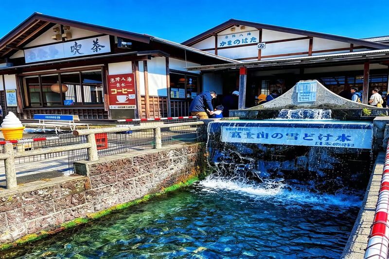 Tokyo Mount Fuji Customizable Day Tour - Is $53.69 good value?