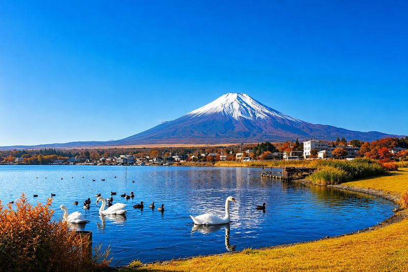 Tokyo Mount Fuji Customizable Day Tour - Who should book this Mount Fuji day tour?