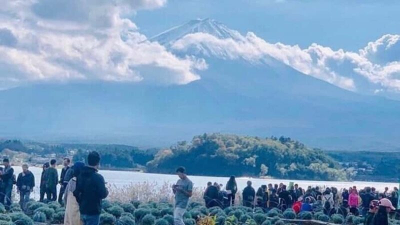 Tokyo: Mount Fuji Day Trip By English Speaking Driver - The Full Experience: What to Expect from This Mount Fuji Day Trip