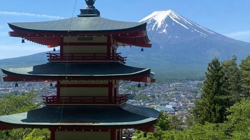 Tokyo: Mount Fuji Day Trip By English Speaking Driver - Practical Details & How It Adds Up