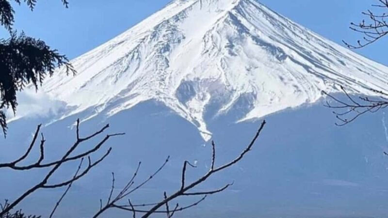 Tokyo: Mount Fuji Day Trip By English Speaking Driver - Who Will Love This Tour?
