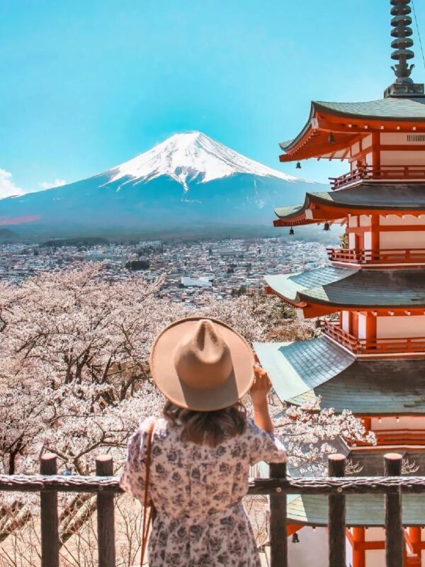 Tokyo Mount Fuji Day Trip: Fruit Picking and Sightseeing Train - Oishi Park’s flowers change with the calendar