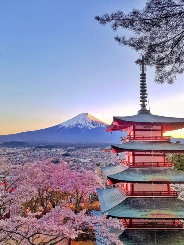 Tokyo Mount Fuji Day Trip: Fruit Picking and Sightseeing Train - Fruit picking gives the day a hands-on finish