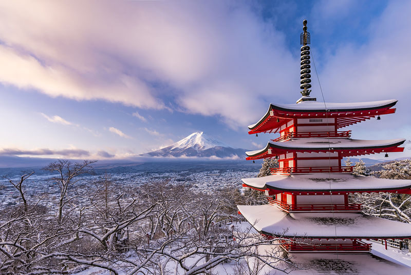 Tokyo Mount Fuji Day Trip: Fruit Picking and Sightseeing Train - Guides and drivers can make the schedule work