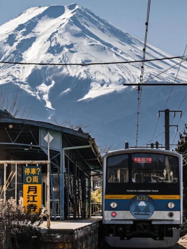 Tokyo Mount Fuji Day Trip: Fruit Picking and Sightseeing Train - What the price covers, and what it does not