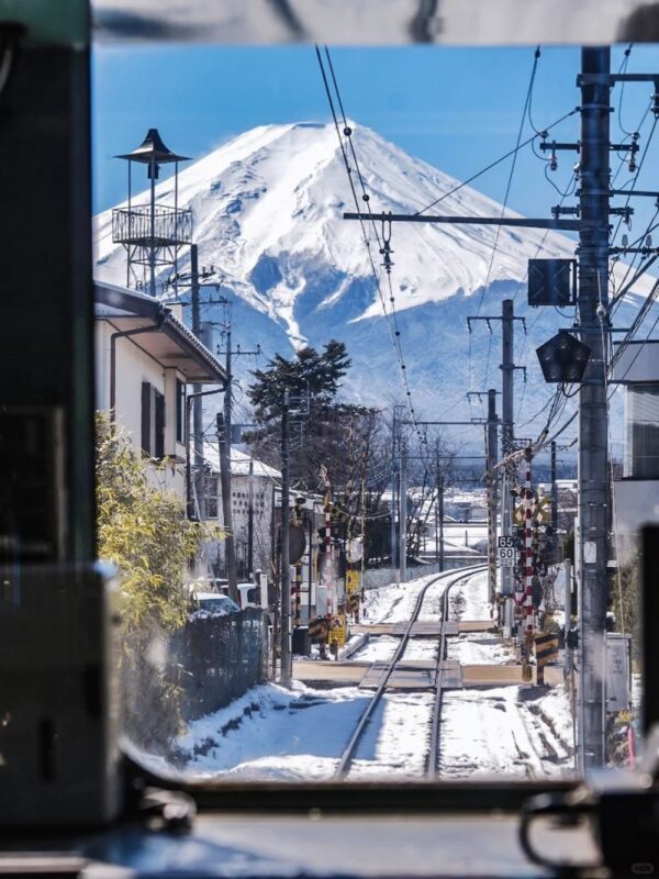 Tokyo Mount Fuji Day Trip: Fruit Picking and Sightseeing Train - Should you book this Mount Fuji day trip?
