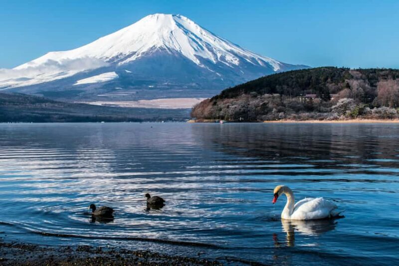 Tokyo: Mount Fuji Full Day Private Customized Tour - Itinerary Breakdown: What to Expect