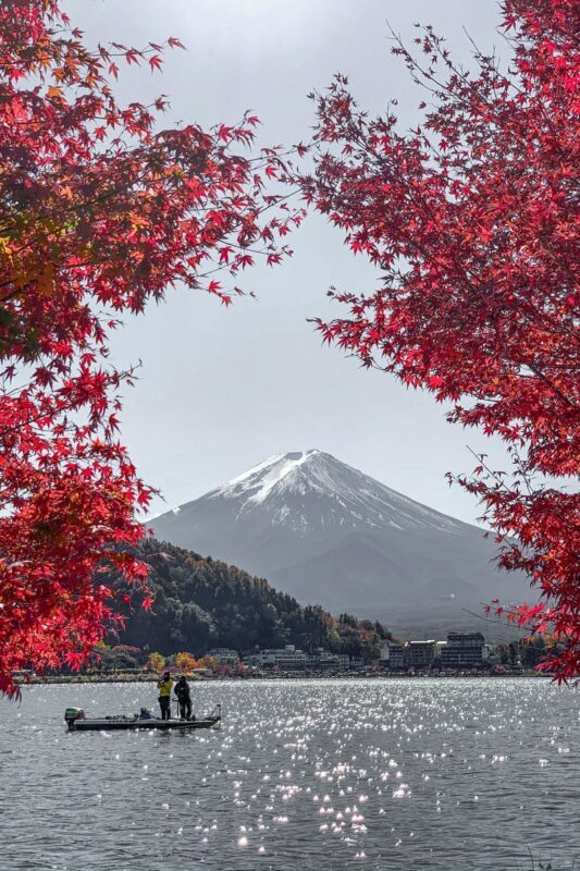 Tokyo Mount Fuji Full-Day Private Guided Tour - Lunch, cash and small practical details