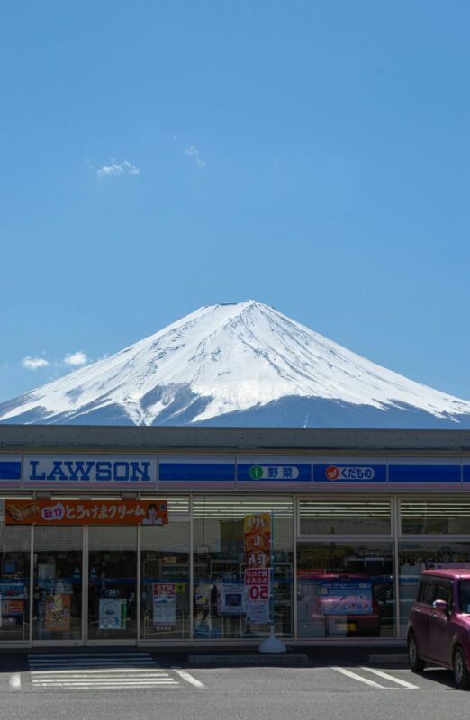 Tokyo Mount Fuji Full-Day Private Guided Tour - Is $418.39 a fair starting price?
