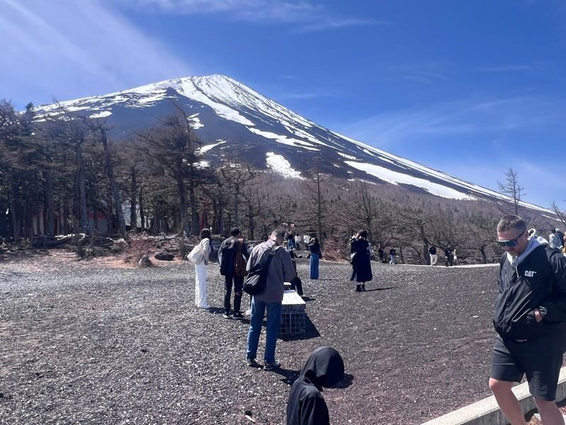 Tokyo Mount Fuji Full-Day Private Guided Tour - Who should book this day trip?
