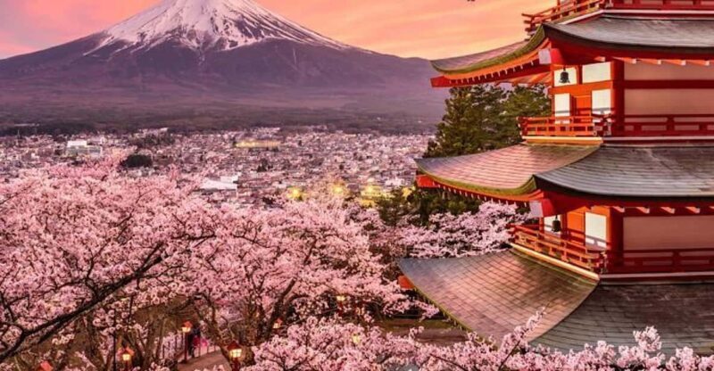 Tokyo: Mount Fuji Full day Private Sightseeing Guided tour - Good To Know