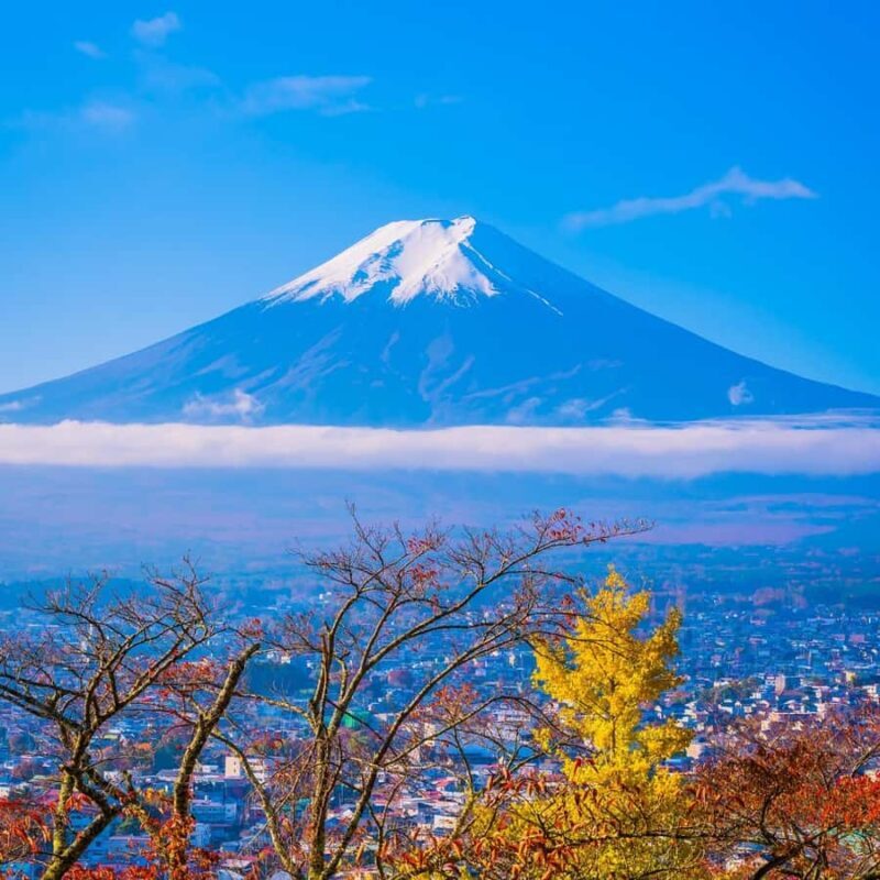 Tokyo: Mount Fuji Full Day Private Tour With English Guide - Why This Tour Offers Great Value