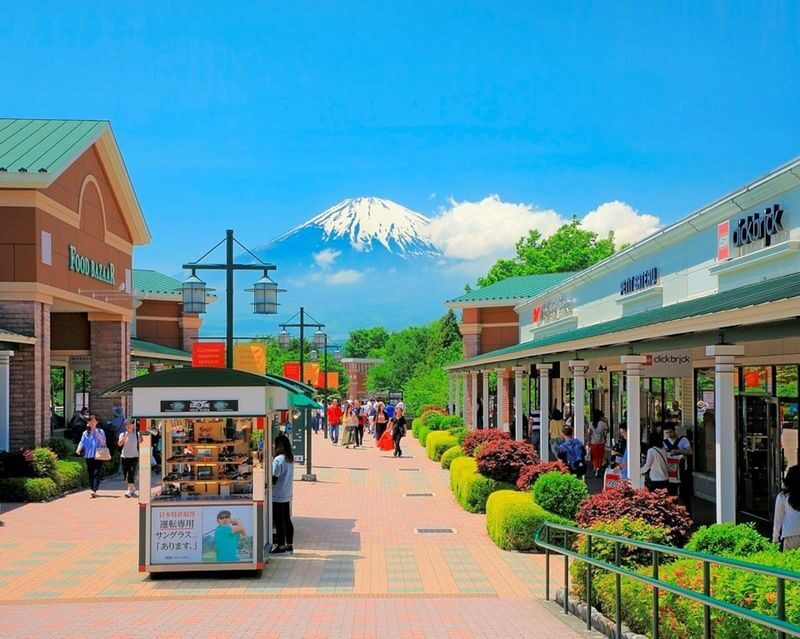 Tokyo Mount Fuji & Gotemba Full-Day Private Tour - The day at a glance