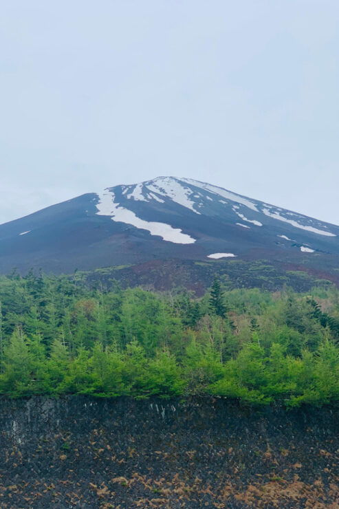 Tokyo: Mount Fuji & Hakone Customized English Guided Trip - Attractions and Activities