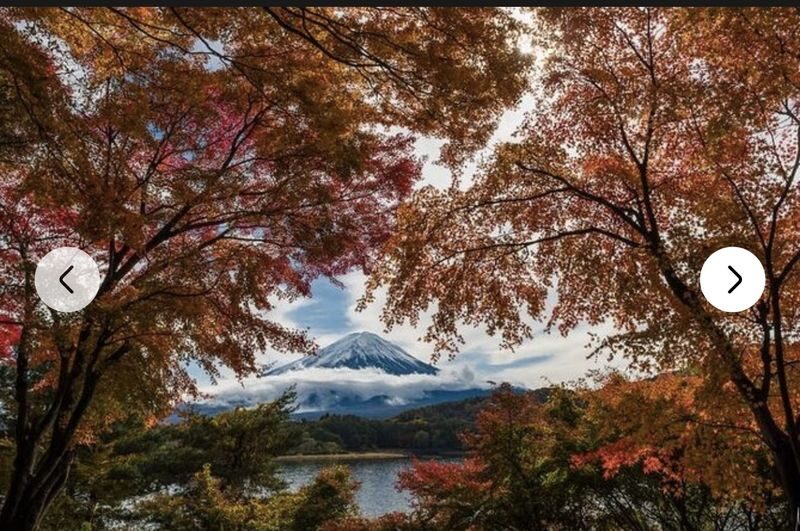 Tokyo Mount Fuji Hakone Full-Day Private Tour - A long day made easier by car