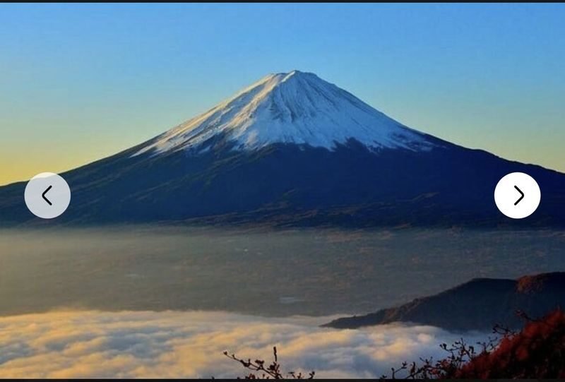 Tokyo Mount Fuji Hakone Full-Day Private Tour - Oishi Park and Lake Kawaguchi: Fuji’s lake country