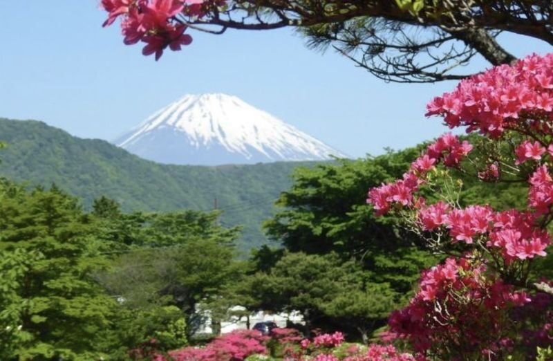 Tokyo Mount Fuji Hakone Full-Day Private Tour - Lunch, Lake Ashi, and the sightseeing ship