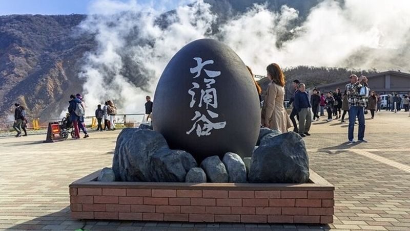 Tokyo Mount Fuji Hakone Full-Day Private Tour - Price, extras, and who gets good value